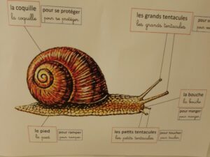 Réunion OGEC